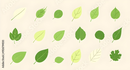 leaf, icon, illustration, isolated, vector, nature, plant, botanical, foliage, green, eco, ecology, organic, natural, symbol, flat, simple, minimal, outline, lineart, silhouette, graphic, design, clip