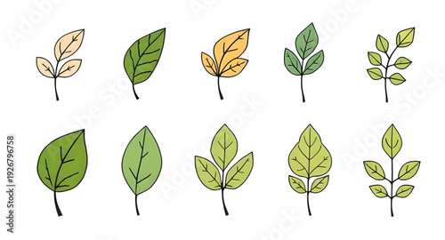 leaf, foliage, botanical, plant, icon, illustration, isolated, vector, green, eco, organic, natural, symbol, sign, flat, simple, minimal, outline, lineart, silhouette, graphic, design, clipart, logo, 