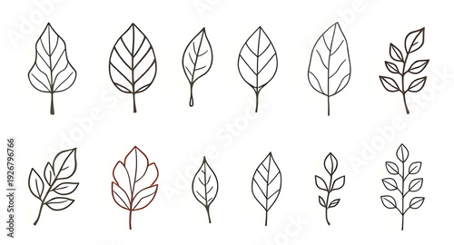 leaf, foliage, plant, botanical, icon, illustration, isolated, vector, green, eco, organic, natural, symbol, sign, flat, minimal, simple, outline, lineart, silhouette, graphic, design, clipart, logo, 