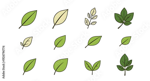 leaf, foliage, plant, botanical, icon, illustration, isolated, vector, green, eco, organic, natural, symbol, sign, flat, minimal, simple, outline, lineart, silhouette, graphic, design, clipart, logo, 
