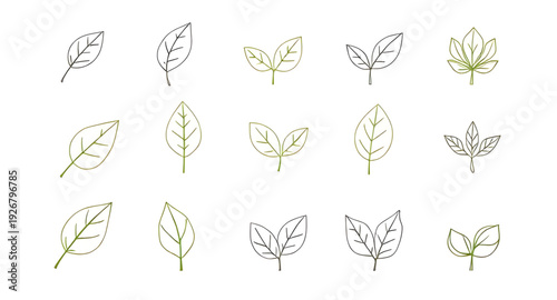 leaf, foliage, plant, botanical, icon, illustration, isolated, vector, green, eco, organic, natural, symbol, sign, flat, minimal, simple, outline, lineart, silhouette, graphic, design, clipart, logo, 