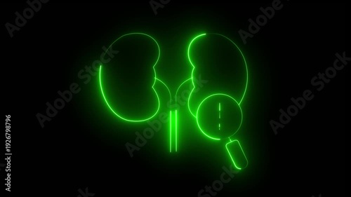 Neon Blue Human Kidneys – Medical and Healthcare  Service Internal Organs Biology Concept.