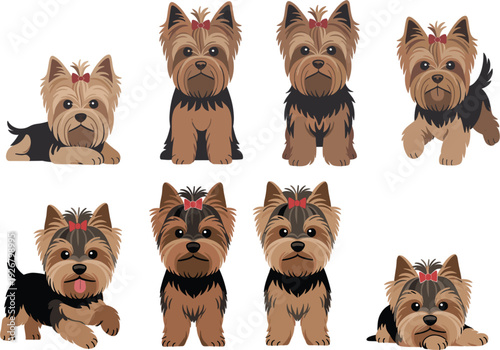 Cute Yorkshire Terrier Puppy Vector Set with Various Poses and Expressions for Pet Shop Animal Care and Dog Lover Design Projects