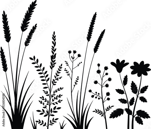 Black vector silhouette set of wild meadow grass stalks field herbs and blooming garden flowers for nature landscape botanical environment and organic ecology branding,