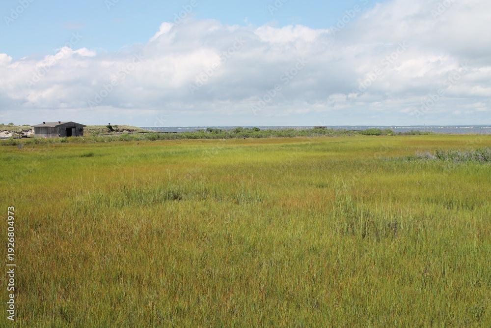 Fototapeta premium Old Shed on Open Green Marsh