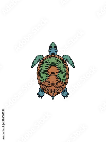 Turtle illustration against black background