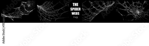 High quality spider web PNG featuring chaotic, interconnected silk networks. Realistic distressed cobweb textures for high-impact horror and dark fantasy art.
