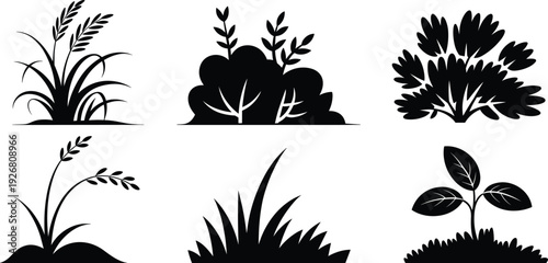 Collection of plant silhouette illustrations featuring grass, shrubs, and foliage variations, black vector design for botanical studies, agriculture, eco-friendly concepts, and nature-inspired 