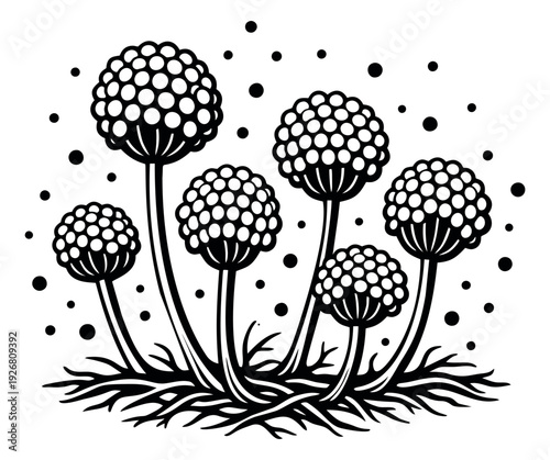 Graphic botanical set featuring stylized spherical flower heads and dot patterns for nature design