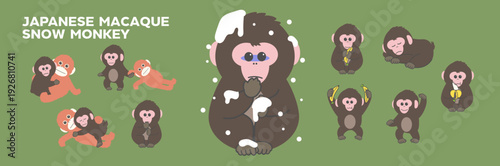 Cartoon Vector Character Set of japanese Macaque snow monkey. 10 illustration