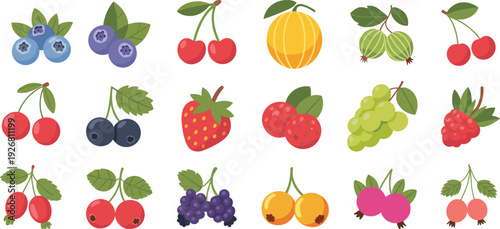 Colorful cartoon illustration of assorted fruits in 4x5 grid, blueberries, cherries, currants, grapes, raspberries, gooseberries, vibrant food design for nature, health, education