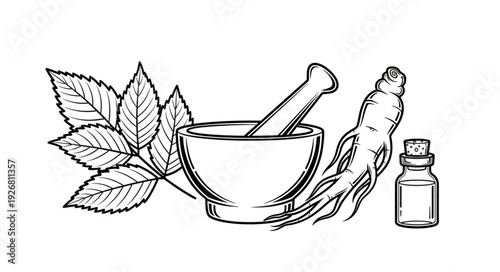Herbal medicine illustration featuring leaves, mortar, pestle, ginseng, and vial.
