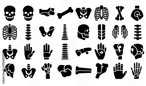 Anatomical Bone and Spine Vector Pictograms Medical Icon Set