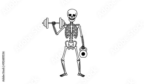 Skeleton with Barbell and Kettlebell Vector Illustration