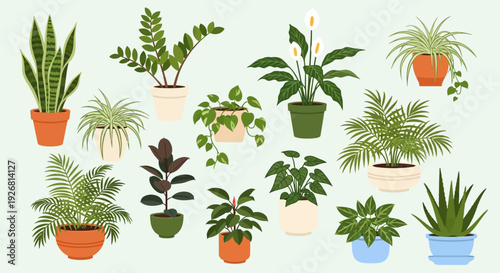 Assorted indoor plant collection in decorative pots arranged in stylish flat vector composition. Variety of leafy tropical and minimalist plants displayed with clean lines and soft natural tones suita