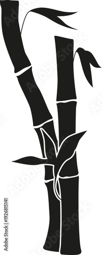 Bamboo black logo. Eco botany stem icon