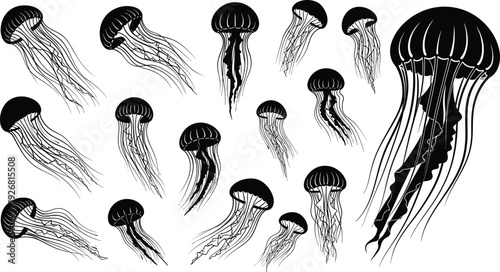 Jellyfish silhouette collection showing marine animals in flowing underwater motion, ocean wildlife illustration set, aquatic nature concept isolated on white background vector design