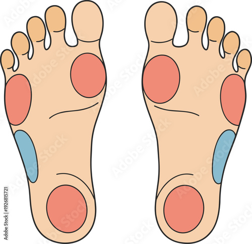 Foot reflexology pressure points diagram, colored zones on human feet for therapy wellness, alternative medicine chart, cad drawing flat vector illustration