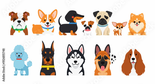 Dog breeds flat icon collection. Includes bulldog, corgi, dachshund, chihuahua, pug, pomeranian, poodle, doberman, husky, german shepherd, and cocker spaniel symbols. Created in flat style with