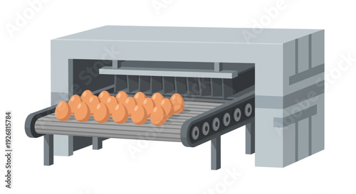Chicken eggs on conveyor.