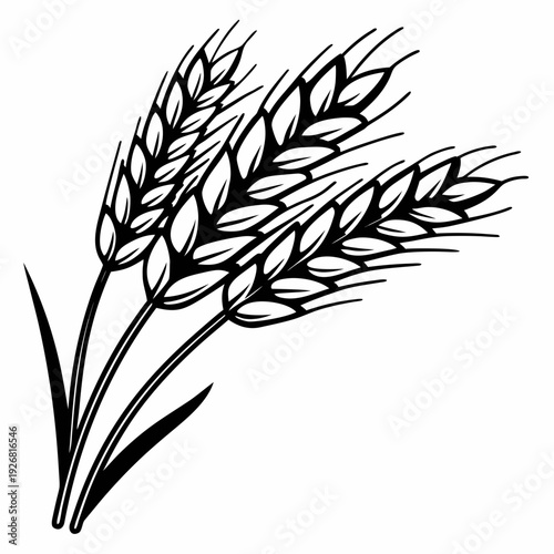 Detailed wheat stalk illustration with grain heads, black and white silhouette