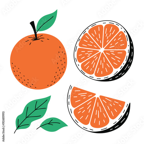 set of citrus fruits