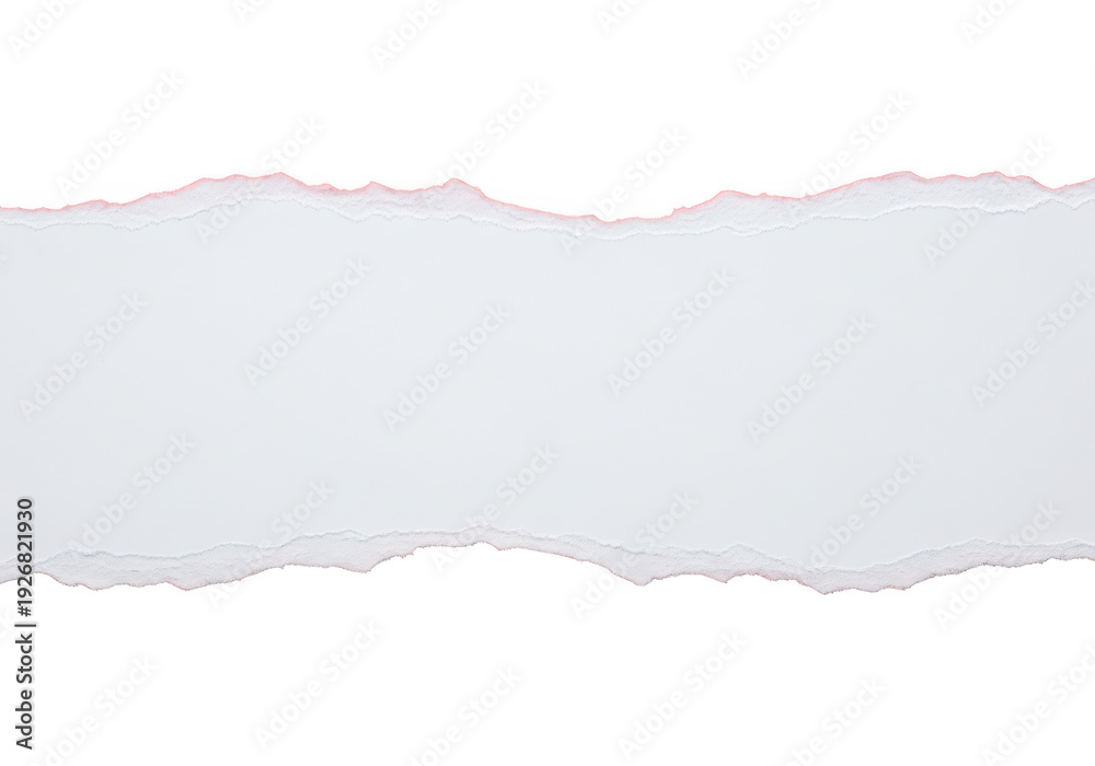 Fototapeta premium A gray torn paper strip on a white background with rough edges.