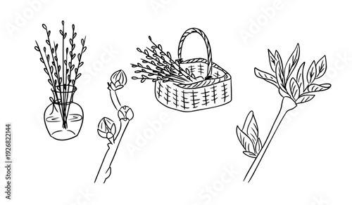 Set of willow branch and basket with twig in outline style vector hand drawn illustration isolated on white background. Spring holiday collection expressing easter tradition nature and renewal concept