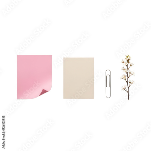 Wallpaper Mural A minimalist arrangement of stationery and flower on a white background. Torontodigital.ca