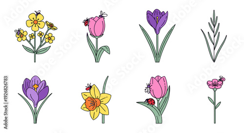 A collection of colorful floral illustrations featuring tulips, daffodils, and irises in a flat vector style, ideal for spring-themed designs