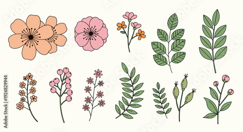 A collection of colorful flowers and leaves in a minimalist vector style, perfect for floral designs and nature-themed projects