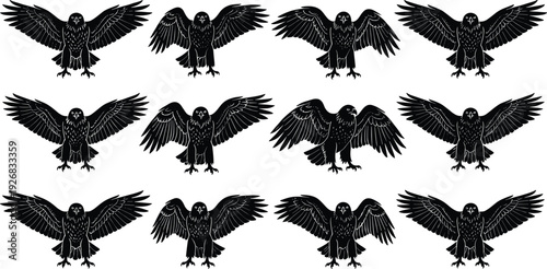 Black vector silhouette set of twelve predatory birds including eagles hawks and falcons with spread wings in various flying and landing poses for wildlife design