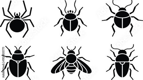 Black insect silhouettes vector set, beetle spider and fly icons, nature bug collection for educational graphic design
