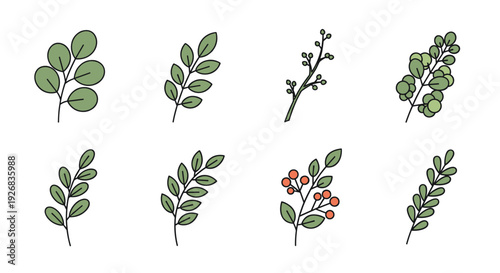 A collection of hand-drawn green leaves and branches in minimalist vector style, perfect for botanical designs and nature-themed projects