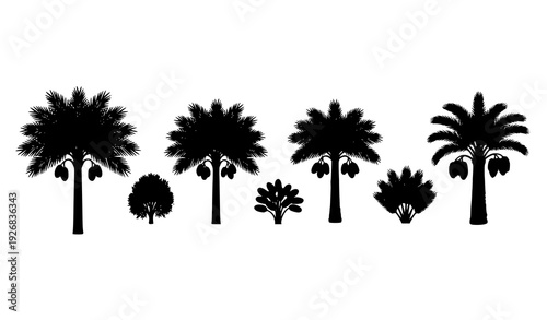 Black silhouette date palm tree life cycle from seed to harvest vector isolated on transparent background