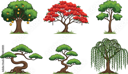 Vector illustration set of six different trees including a fruit tree red flowering tree bonsai style trees and a weeping willow for landscaping design
