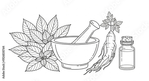 Herbal medicine illustration featuring mortar, pestle, leaves, and essential oil bottle.