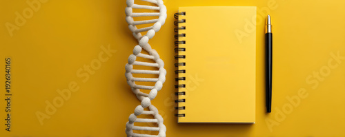 Dna model notepad pen yellow background genetic counseling concept strand science study research idea