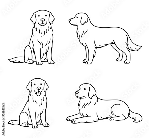 Dog icons, 4 vector illustrations of golden retrievers, with outline design, transparent background