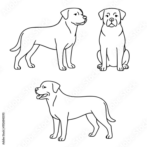 Dog icons, 3 vector illustrations of rottweilers, with outline design style