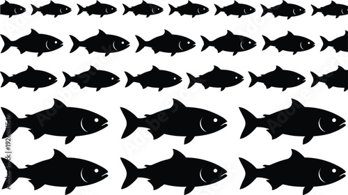 Black vector silhouette set of several fish swimming in a school including large and small salmon or trout for nature and fishing design