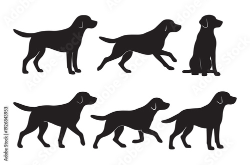 Black silhouettes of labrador retrievers in various dynamic poses