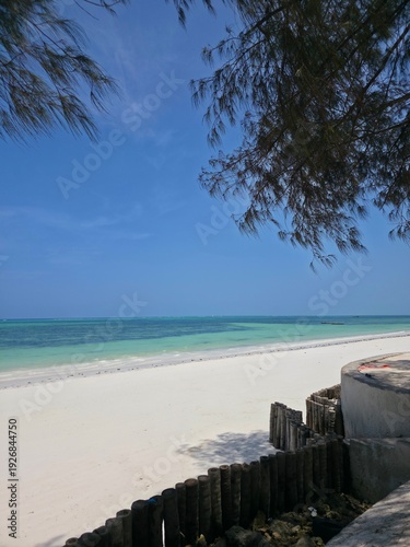 Zanzibar beach, blue ocean