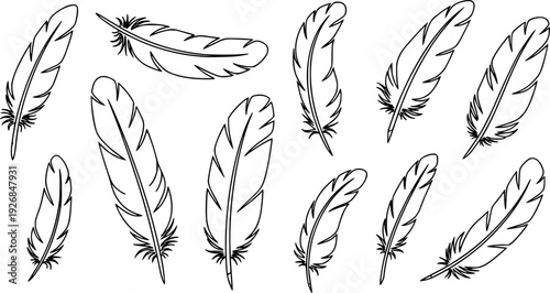 Simple outline feathers in a natural style, perfect for graphic design projects