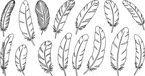 Simple outline feathers in a natural style, perfect for graphic design projects