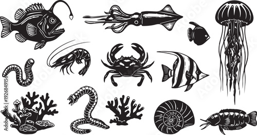 Set of vector illustrations of marine life, including an anglerfish, squid, jellyfish, shrimp, crab, fish, anemone, and snail shell.