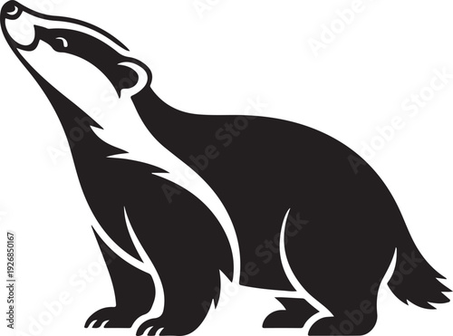 Stylized Vector Illustration of a Black and White Badger on a White Background