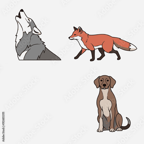 Illustrations of Wolf Fox and Dog.