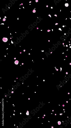 White and Pink Flower Petal Explosion Vertical Video Background with Alpha Channel, Realistic Ume Plum Blossom Burst Animation Stock Video Overlay, Spring Wedding Celebration, 4K ProRes 4444