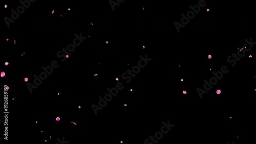 Seamless Loop Slow Falling Small Pink Flower Petals Video Background with Alpha Channel, Sparse Realistic Ume Plum Blossom Animation Stock Video Overlay, Calm Romantic Spring Wedding, 4K ProRes 4444